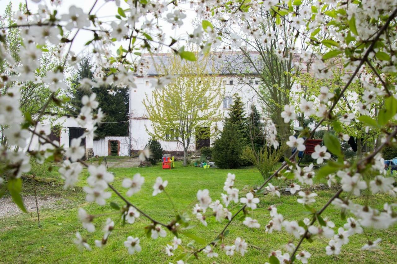Gospodarstwo U Krakusa Doboszowice Экстерьер фото
