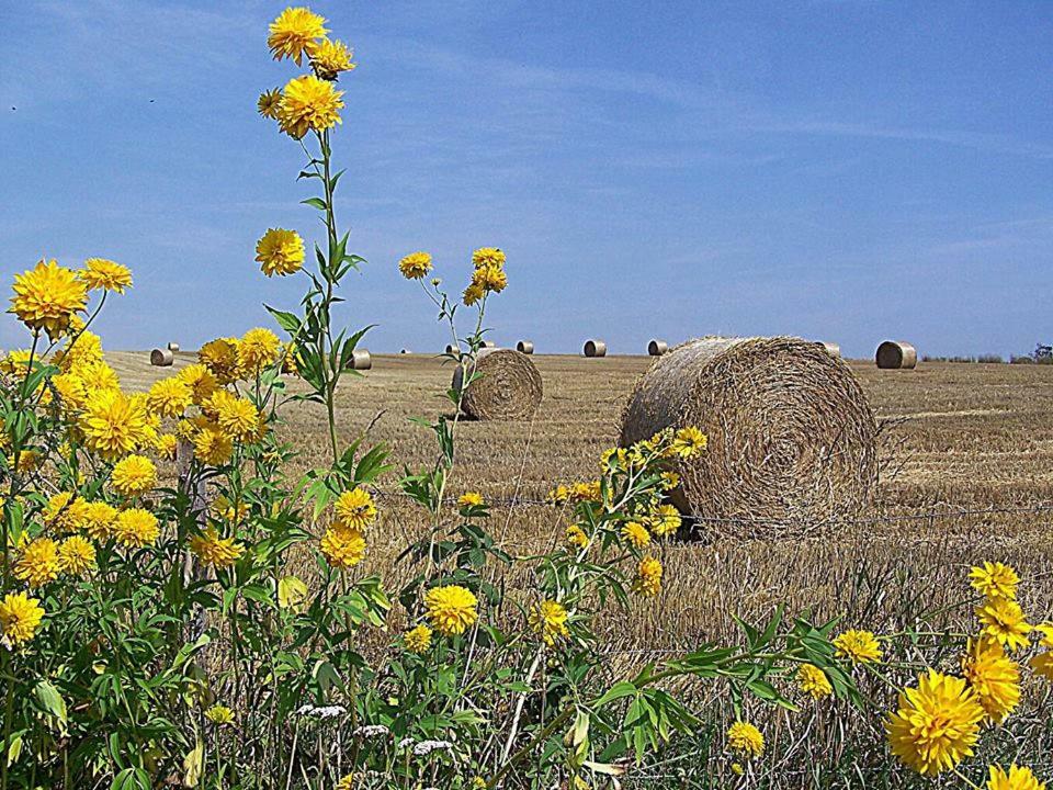 Gospodarstwo U Krakusa Doboszowice Экстерьер фото